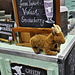 A Greedy Goat – Borough Market, Southwark, London, England
