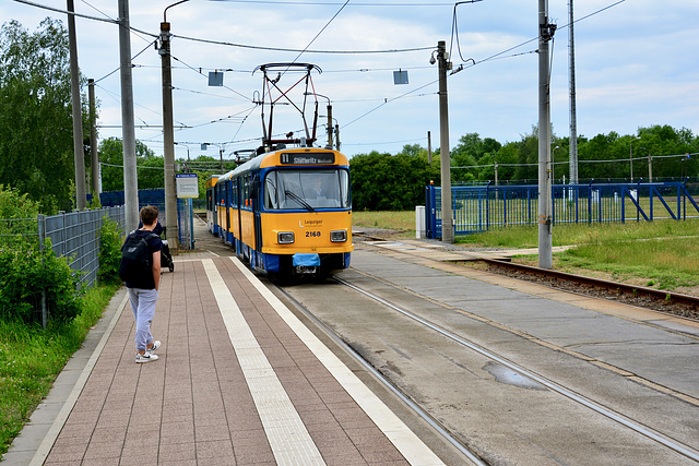 Leipzig 2017 – Tatra-Großzug at Lausen loop