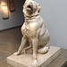 Molossian Hound in the British Museum, May 2014