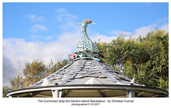 Denton Island Bandstand's cormorant 5 10 2021