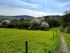 Landschaft bei Heimersheim