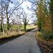Lane alongside Fisherwick Wood, crossing Fisherwick Brook