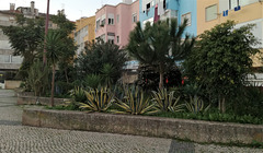Small garden between Benfica's blocks - XVIX