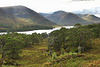 Loch Affric and part of the Caledonian Forest - Glen Affric
