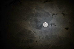 Moon*