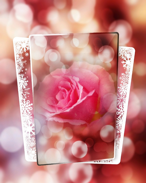 Bonne soirée avec une composition faite à partir d'une rose du jardin .
