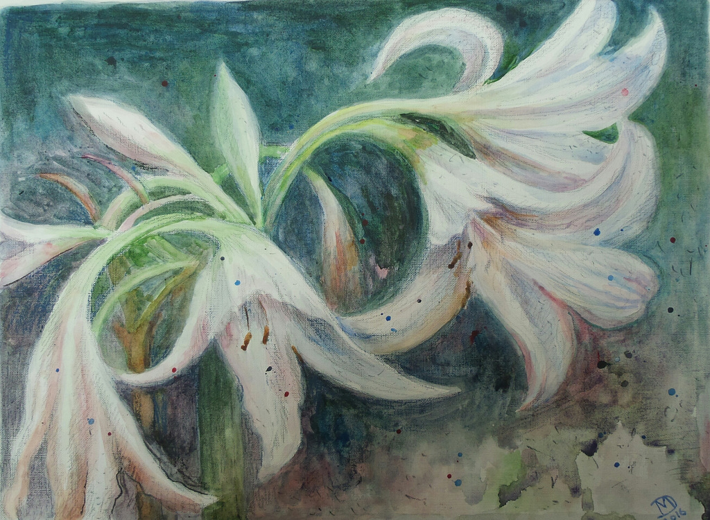 Lilies in the night
