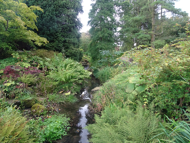 Stream at Harlow Carr