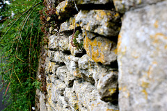 A Wall in Reybridge No. 1