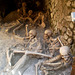 Skeletons of victims of Vesuvius' eruption.