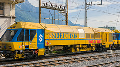 220608 Martigny Scheuchzer BOA811