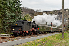 Sonderzug der Ulmer Eisenbahnfreunde mit 58 1111-2 im Bahnhof Hetzdorf