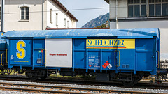 220608 Martigny Scheuchzer