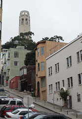SF Telegraph Hill (1256)
