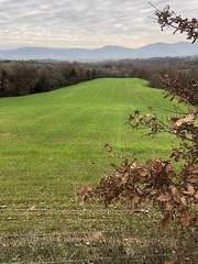 Fields in late winter.