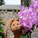 Rabbit in the rhododendrons
