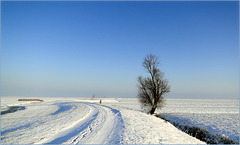 Blue and White in the wide Polder...