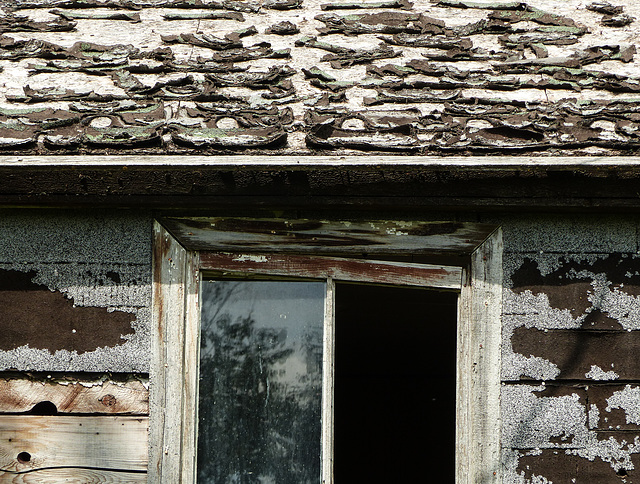 Homestead remnants