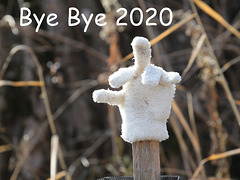 and welcome 2021, Donald T. aurait-il perdu son gant?