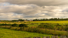 Caithness Country
