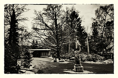 Winter im Tiergarten