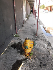 Stubby hydrant / Borne fontaine trapue