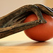 The 50-Images-Project. ( 11/50 ): Stolen Egg