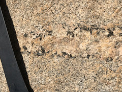 Pegmatitic veins in Blutkuppe Granite