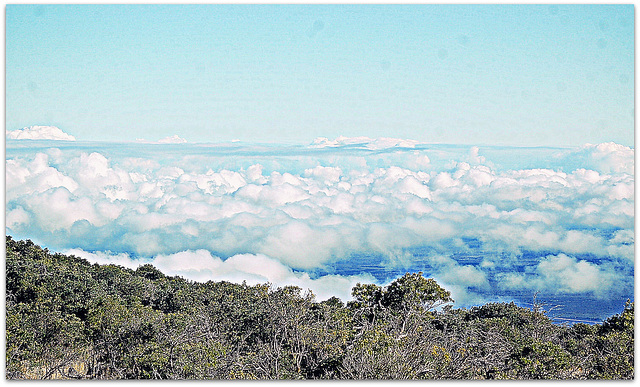 Cloudline ~ Hilo, Hawaii