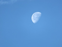 The Moon in Daylight