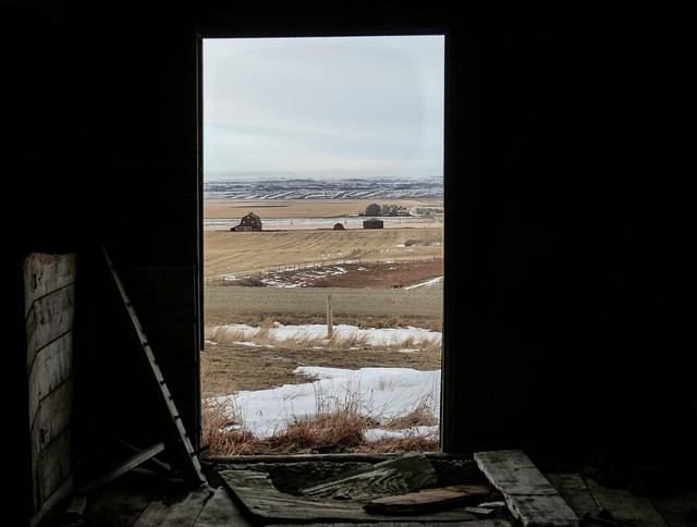 View from a barn doorway