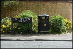Wellington Street bin