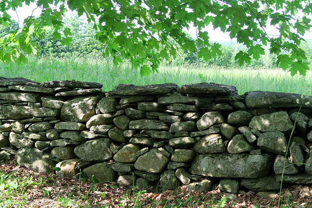 IMG 5806-001-Stone Wall