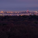 A view of Wallasey and Liverpool docks from Thurstaston Hill