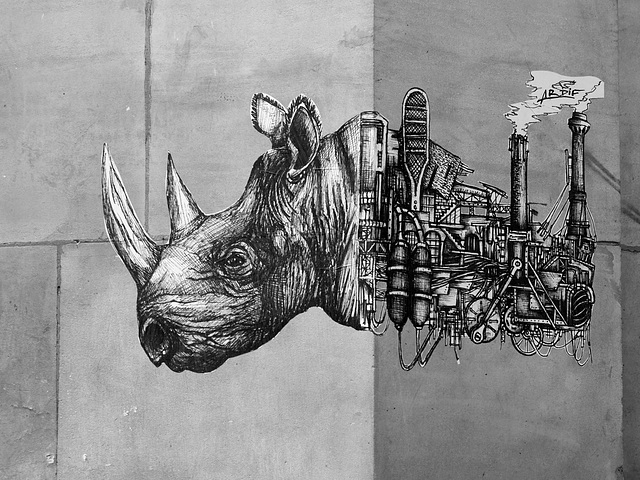 rhino-vapeur