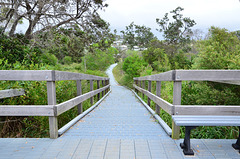 pathway from the beach