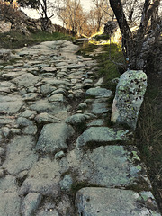 Roman road in winter sun and shade,