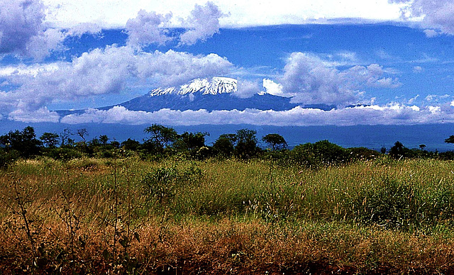 ... il voit là-bas dans le lointain les neiges du Kilimandjaro ...