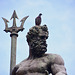Bologna 2021 – Neptune and pigeon