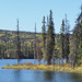 Marmot Lake