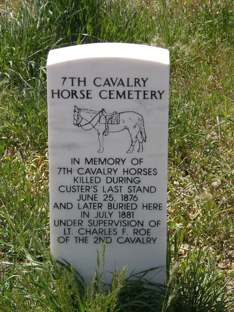 Horse Grave at Little Bighorn