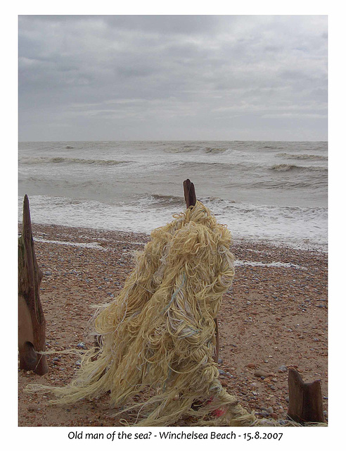 Old man of the sea? -  Winchelsea - 15 8 2007