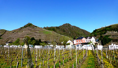 DE - Mayschoß - View of the hills, Ümerich in the middle