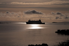 Early morning arrival of the MV Finlaggan