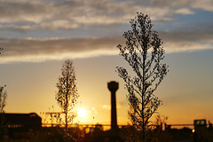 Turm und Pflanzen in der Abendsonne