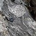 Sheared Lewisian Gneiss (close-up view)
