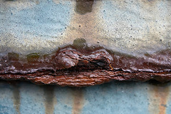 Rust,Rot And Nature