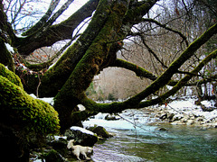 Ugar river in winter