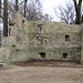 Alte Schloss-Ruine im Teublitzer Stadtpark