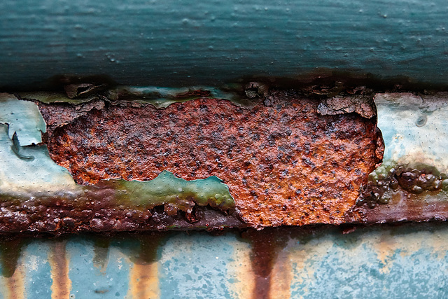 Rust,Rot And Nature